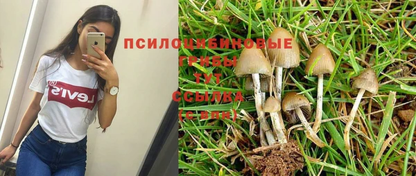 ALPHA-PVP Армянск