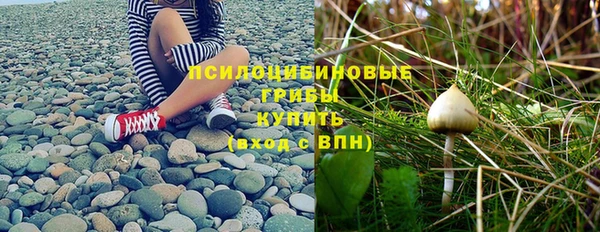 метамфетамин Алексеевка